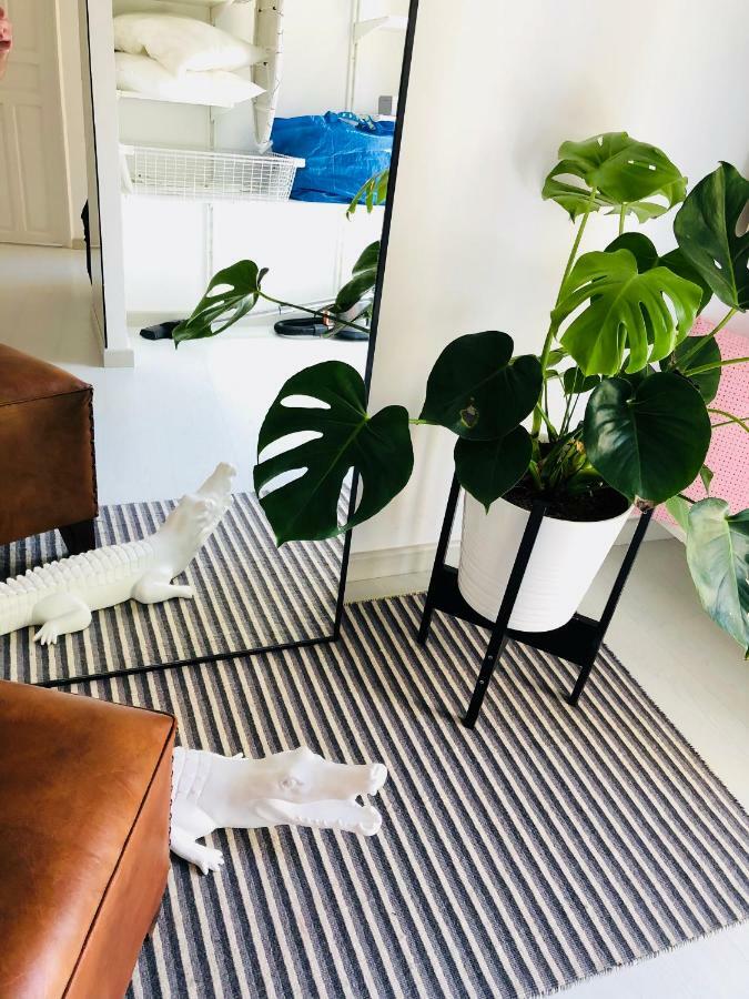 White Loft Alicante Luaran gambar